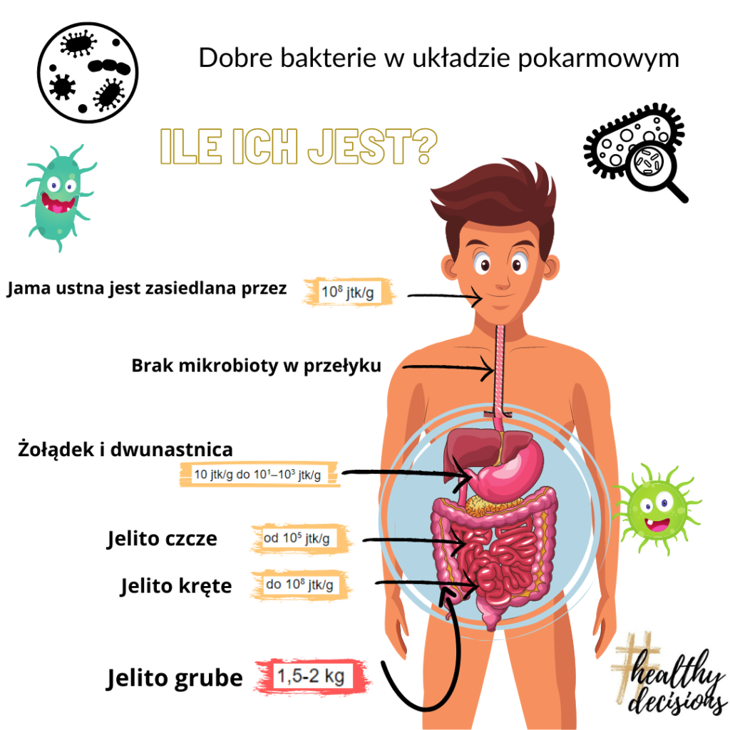 mikrobiota jelitowa 